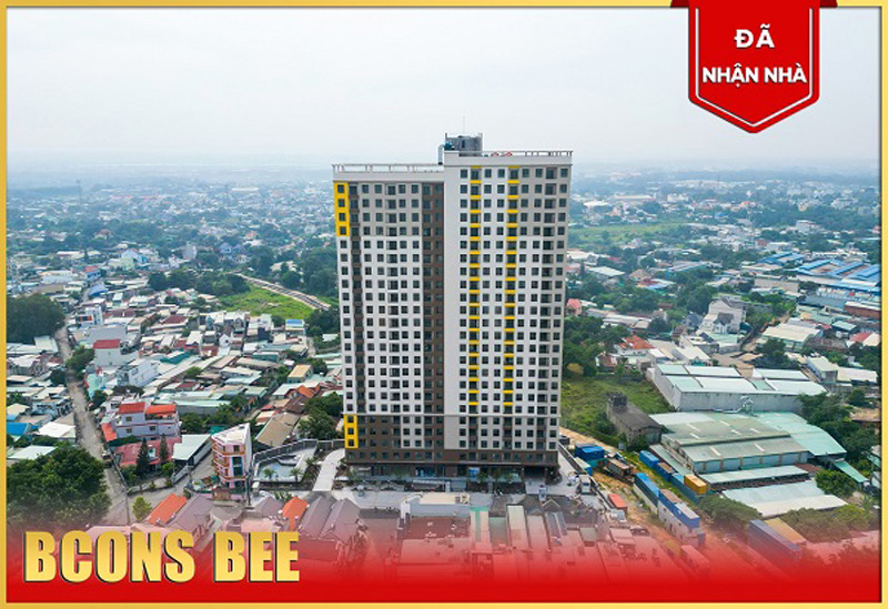 BCONS BEE